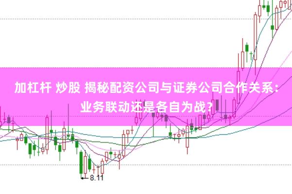 加杠杆 炒股 揭秘配资公司与证券公司合作关系：业务联动还是各自为战？
