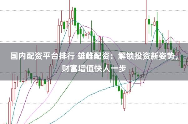 国内配资平台排行 雄雌配资：解锁投资新姿势，财富增值快人一步