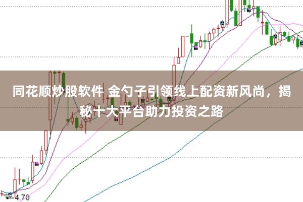 同花顺炒股软件 金勺子引领线上配资新风尚，揭秘十大平台助力投资之路