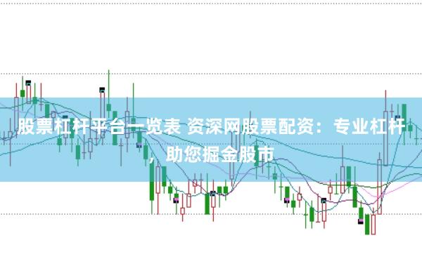 股票杠杆平台一览表 资深网股票配资：专业杠杆，助您掘金股市