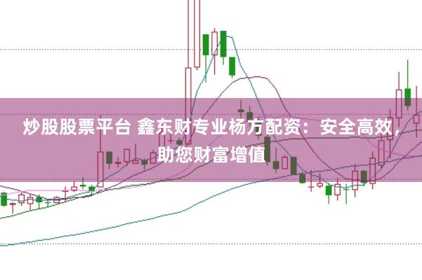 炒股股票平台 鑫东财专业杨方配资：安全高效，助您财富增值
