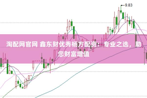 淘配网官网 鑫东财优秀杨方配资：专业之选，助您财富增值