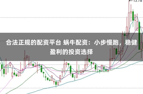 合法正规的配资平台 蜗牛配资：小步慢跑，稳健盈利的投资选择