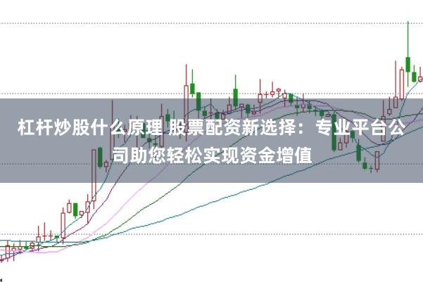 杠杆炒股什么原理 股票配资新选择：专业平台公司助您轻松实现资金增值