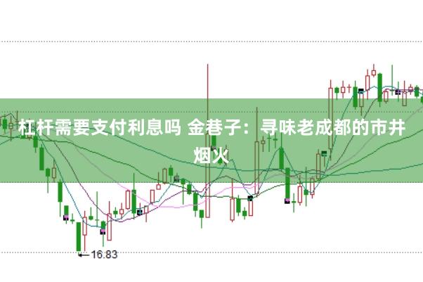 杠杆需要支付利息吗 金巷子：寻味老成都的市井烟火