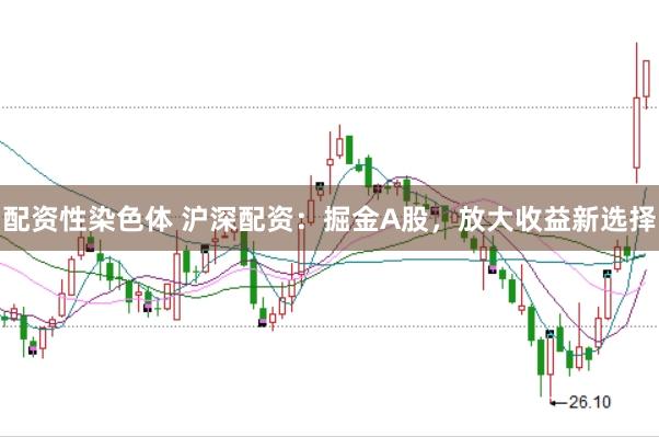 配资性染色体 沪深配资：掘金A股，放大收益新选择