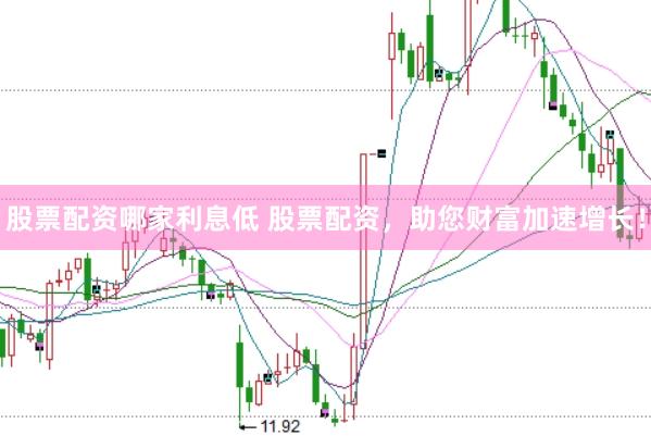 股票配资哪家利息低 股票配资，助您财富加速增长！