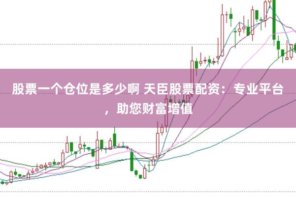 股票一个仓位是多少啊 天臣股票配资：专业平台，助您财富增值