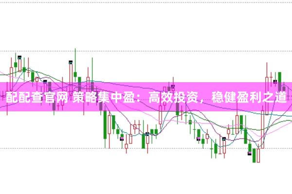 配配查官网 策略集中盈：高效投资，稳健盈利之道