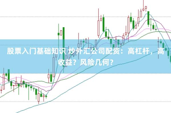股票入门基础知识 炒外汇公司配资:高杠杆,高收益?风险几何?