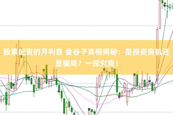 股票配资的月利息 金谷子真相揭秘：是投资良机还是骗局？一探究竟！