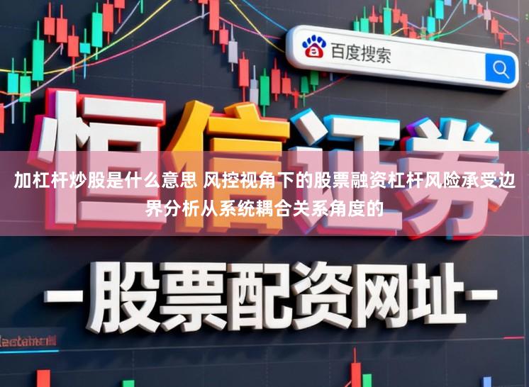 加杠杆炒股是什么意思 风控视角下的股票融资杠杆风险承受边界分析从系统耦合关系角度的