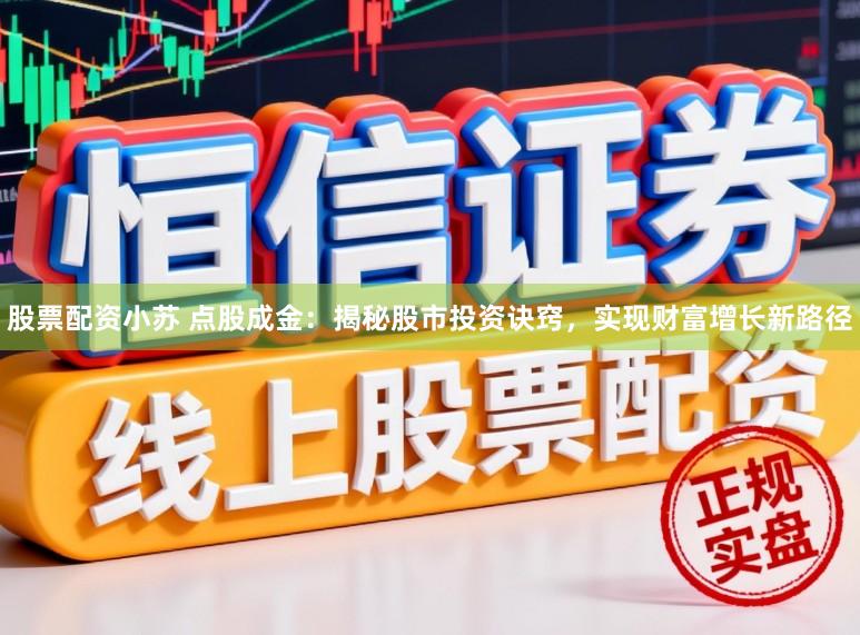 股票配资小苏 点股成金:揭秘股市投资诀窍,实现财富增长新路径